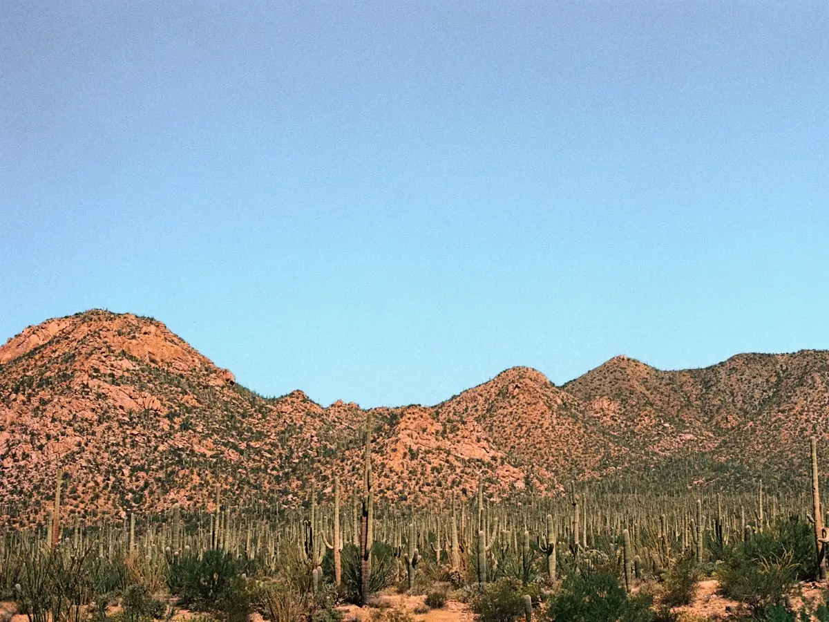 Quail Run
